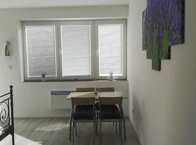 U Vody アパート *