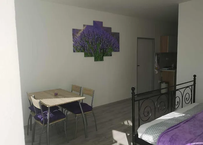 U Vody アパート *