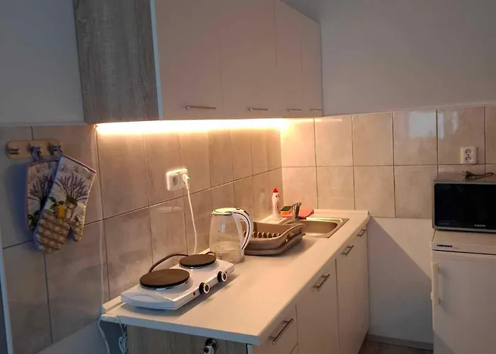 アパート U Vody *